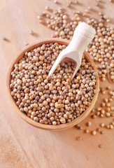 coriander