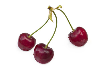 Bunch of cherries isolated on white