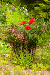 Blüten in einem idyllischen Garten