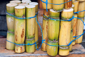 A close up photo of a stack of sugar cane sticks - obrazy, fototapety, plakaty