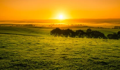 Meubelstickers Sunrise Field © Kwest