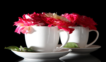 Fototapeta na wymiar Roses in cup on black background