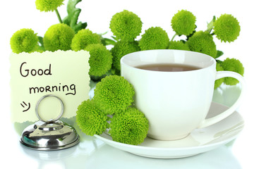 Fototapety  Piękna zielona chryzantema z filiżanką herbaty na białym tle