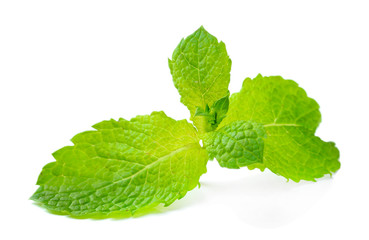Fresh mint leaves isolated on white