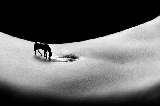 Nude Bodyscape Images of a Woman