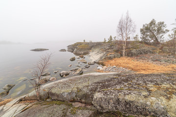 Fototapeta na wymiar Fog on stony coast of lake. spring landscape