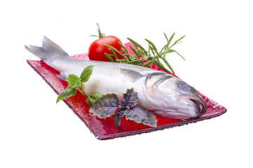 Raw seabass