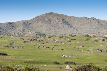 Fototapeta na wymiar Commonages pastures in Madrid, Spain