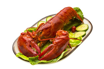 Large Lobster