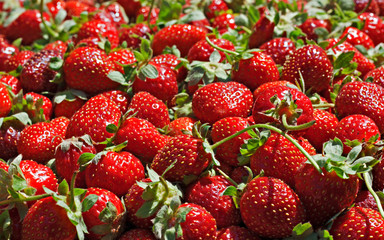 Juicy ripe strawberrys on sale at market