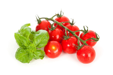 Tomate mit Basilikum
