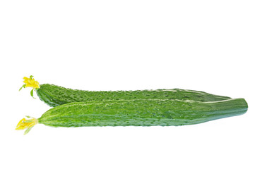 Cucumber on the white background