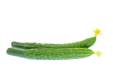 Cucumber on the white background