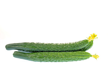 Cucumber on the white background