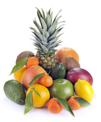 set of citrus and tropical fruits