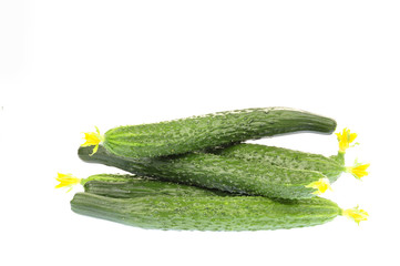 Cucumber on the white background
