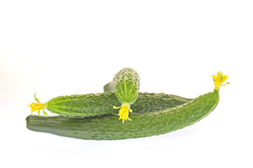 Cucumber on the white background