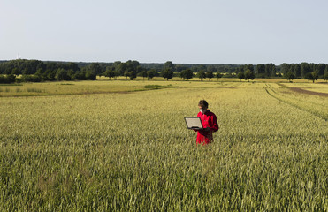 Wissenschaftler im Getreidefeld