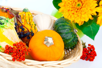 Autumn pumpkins in a straw basket