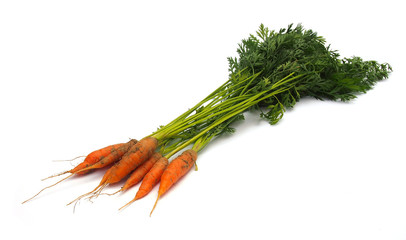 Carrots isolated on white