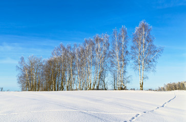 Russian landscape. Sunny day in winter