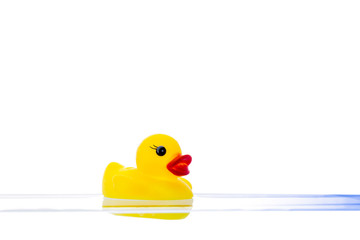 Rubber duck