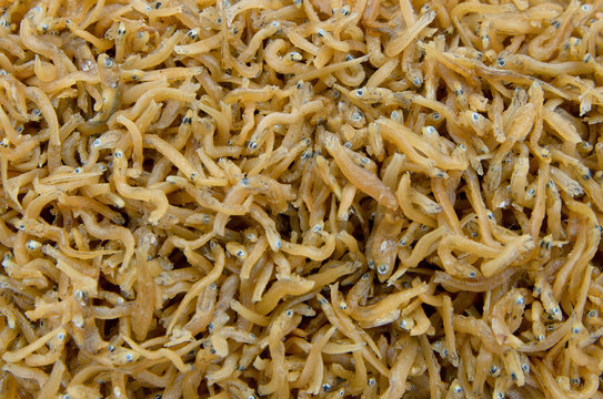 Fried Ricefish food background