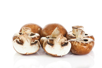 mushroom  isolated on white background.