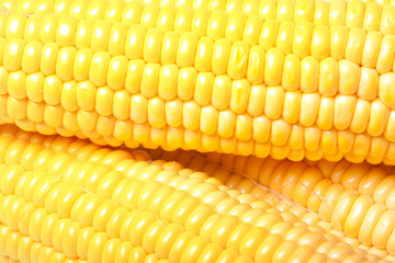 Ripe appetizing corn.
