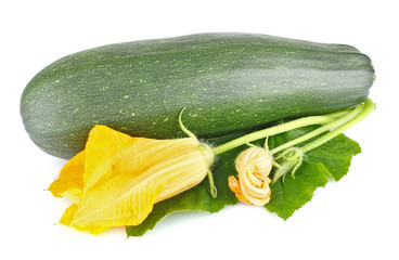 fresh zucchini with green leaves and flower