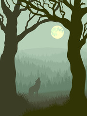 Fototapeta premium Square illustration of wolf howling at moon.
