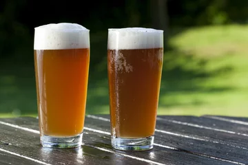 Küchenrückwand glas motiv refreshing chilled german beer in summer garden © ASK-Fotografie