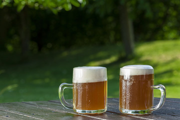 refreshing chilled german beer in summer garden