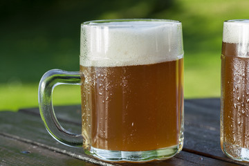 refreshing chilled german beer in summer garden