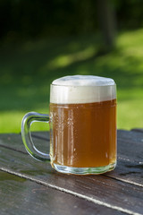 refreshing chilled german beer in summer garden