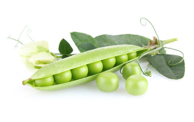 green pea with leaves and flower