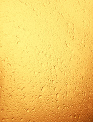 Water drops bright background