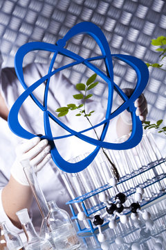 Laboratory glassware, genetically modified plant 