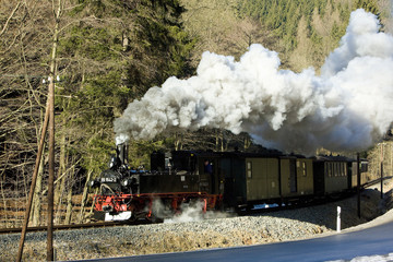 Fototapeta na wymiar steam train, Steinbach - Jöhstadt, Germany