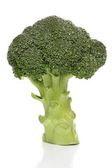 Broccoli isolated over white background. Nutrition series