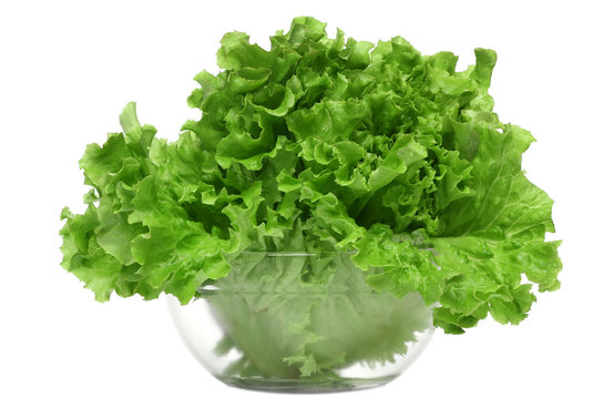 Bowl with letucce over white background
