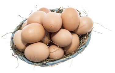 Brown Eggs isolated on white