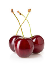 Sweet cherry isolated on white