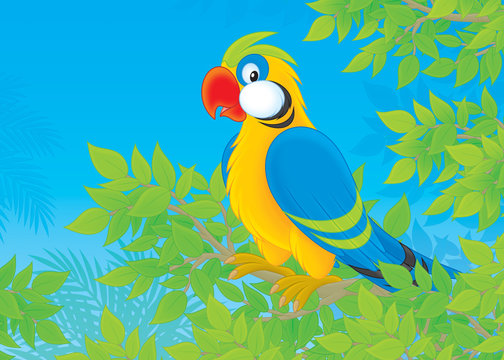 Motley parrot perched on a branch in jungle