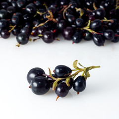 Blueberry