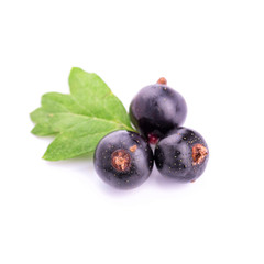 Fresh ripe blackcurrants isolated