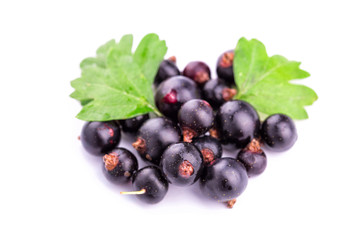 Fresh ripe blackcurrants isolated