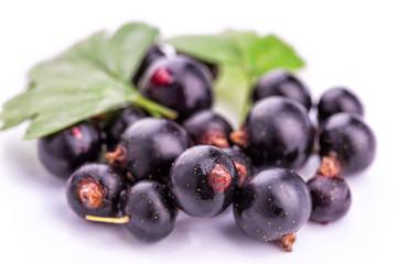 Fresh ripe blackcurrants isolated