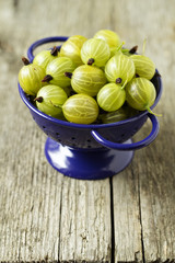 Fresh gooseberries in blue colander