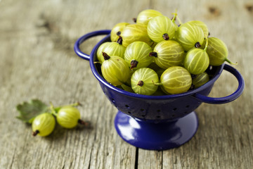 Fresh gooseberries in blue colander